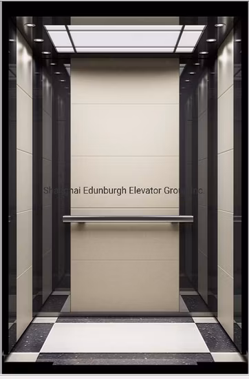 Edunburgh Machine Roomless Passenger Elevator, Elegant and Low Sound