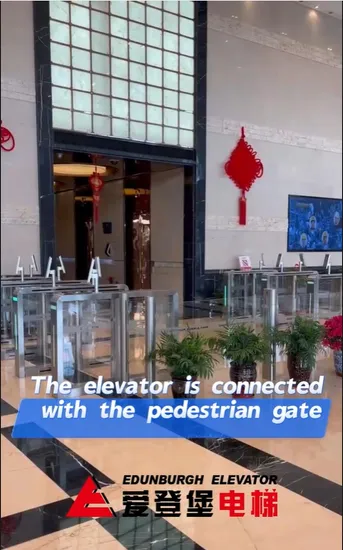 Edunburgh Machine Roomless Passenger Elevator, Elegant and Low Sound