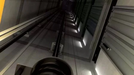 Dsk 엘리베이터 기계실 화물 엘리베이터가 있는 안전한 자동차 엘리베이터 화물용 엘리베이터 상품 엘리베이터