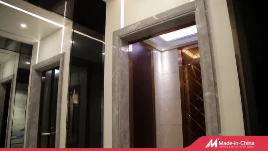 Desenk 소형 기계실 낮은 엘리베이터 가격의 주거용 여객 리프트 빌라 엘리베이터